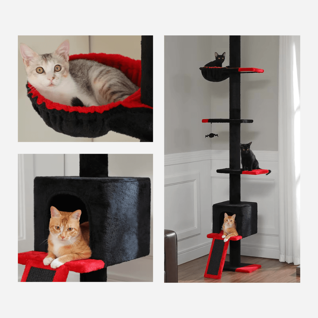 Arbre à chat Design Coloré Plafond | Mon Chat Perché