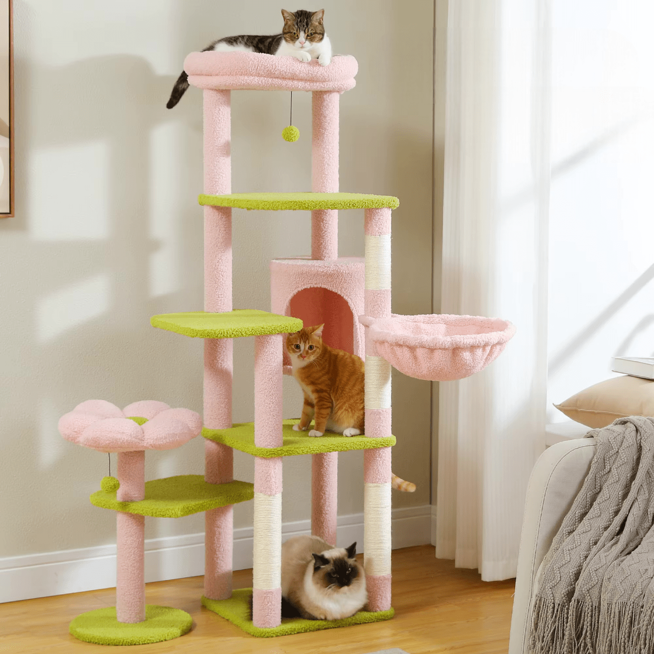 Arbre à chat Maine Coon Perchoir | Mon Chat Perché