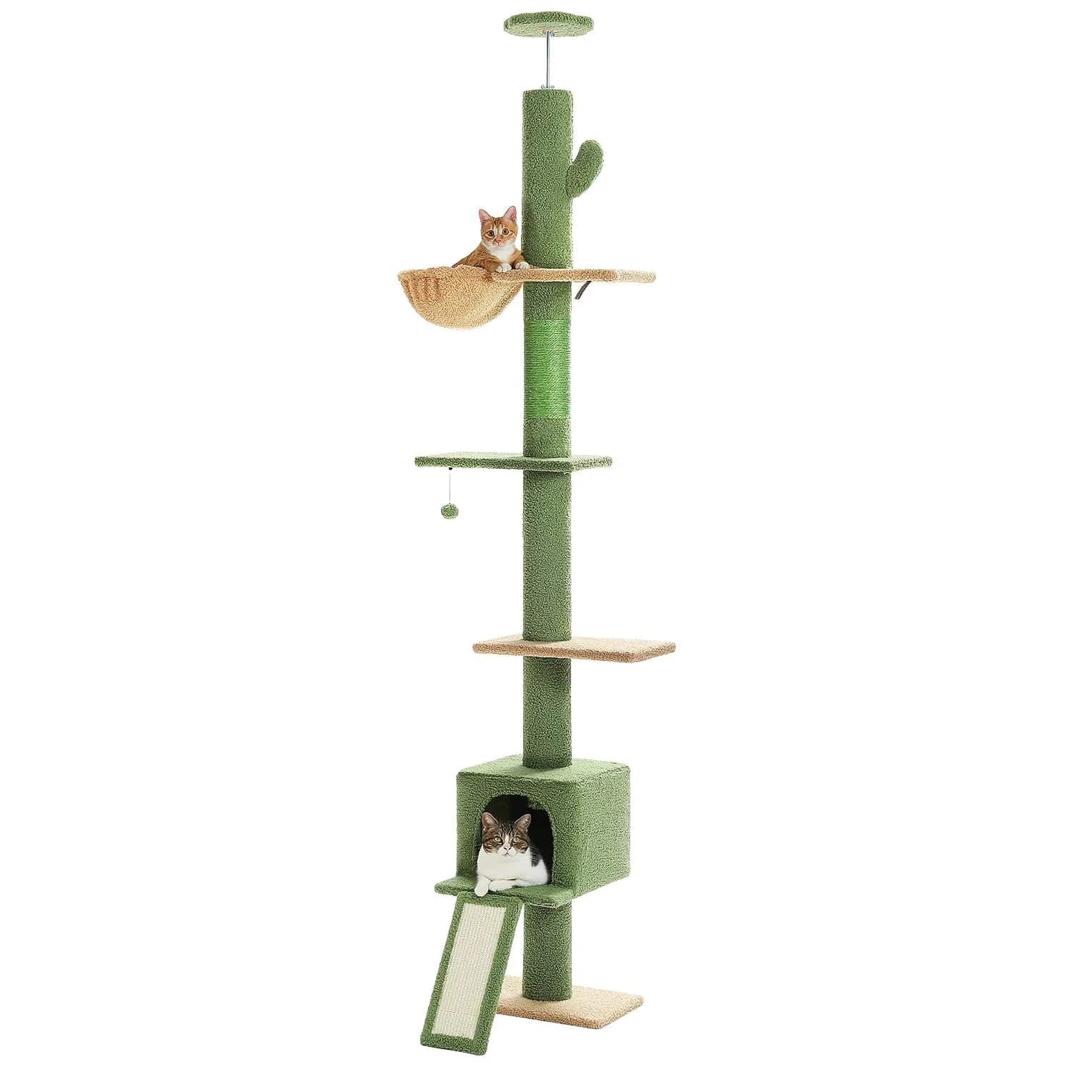 Arbre à chat Maine Coon Plafond | Mon Chat Perché