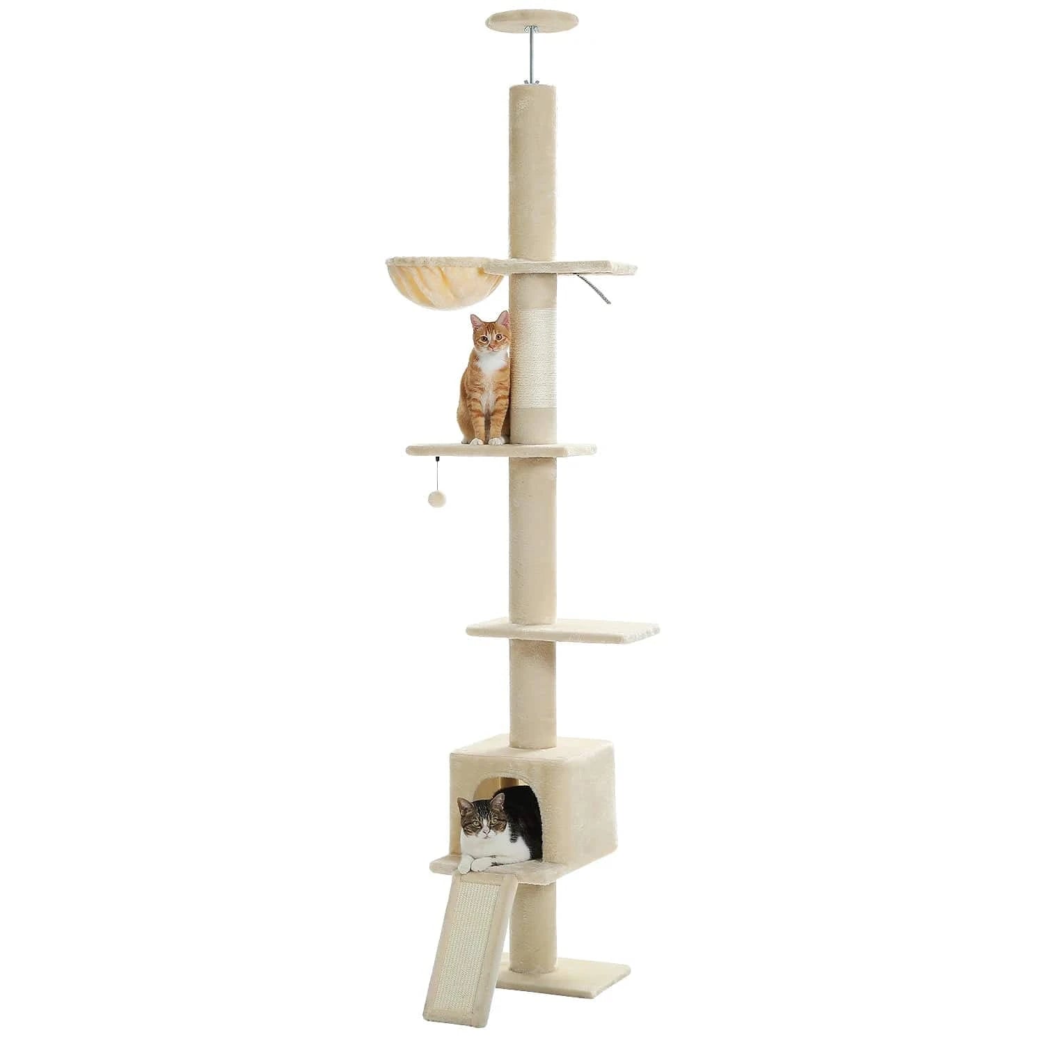Arbre à chat Maine Coon Plafond | Mon Chat Perché