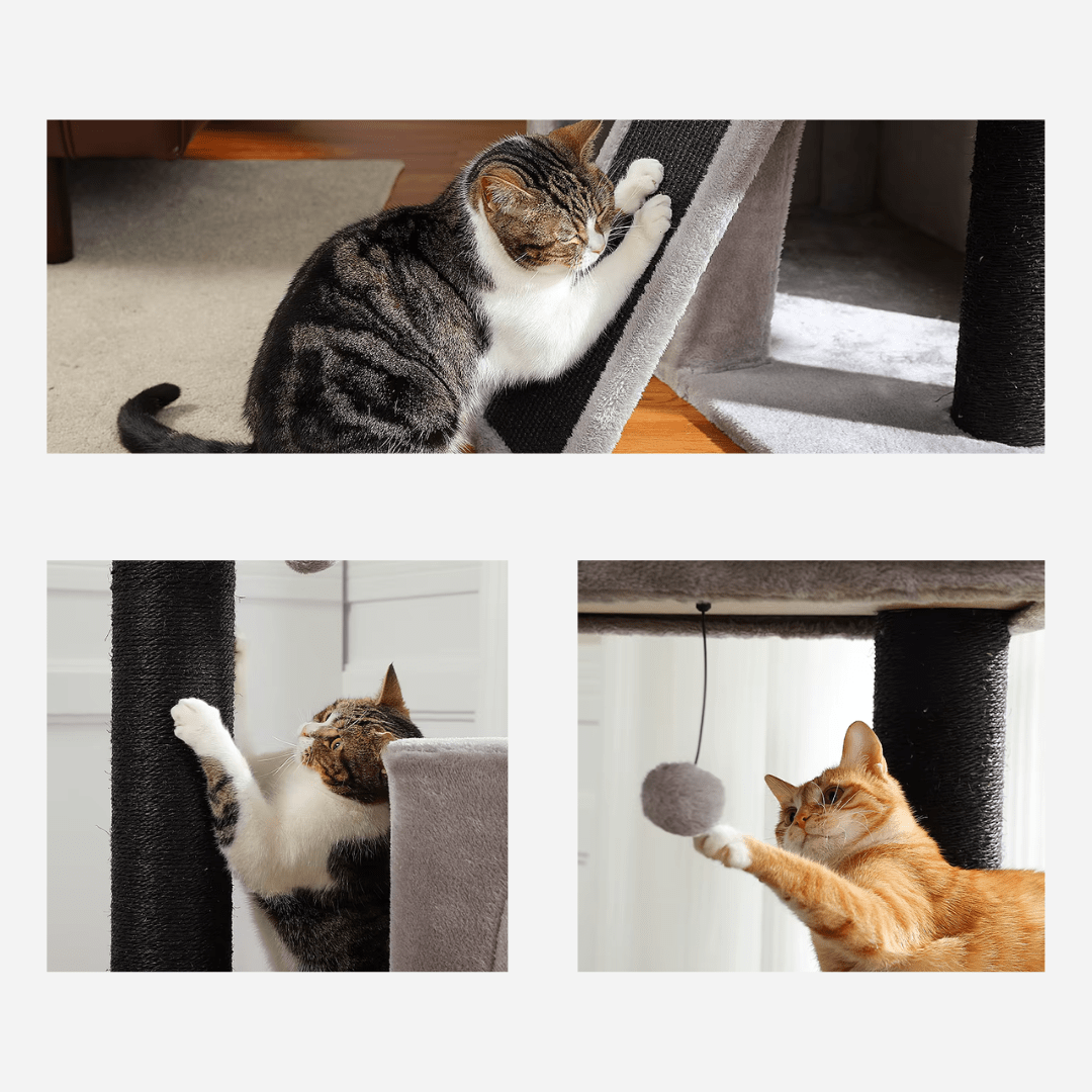 Arbre à Chat Maine Coon Solide | Mon Chat perché