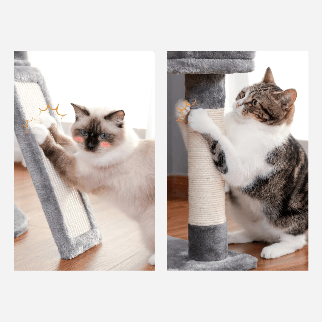 Arbre à chat Petit 105 cm | Mon Chat Perché
