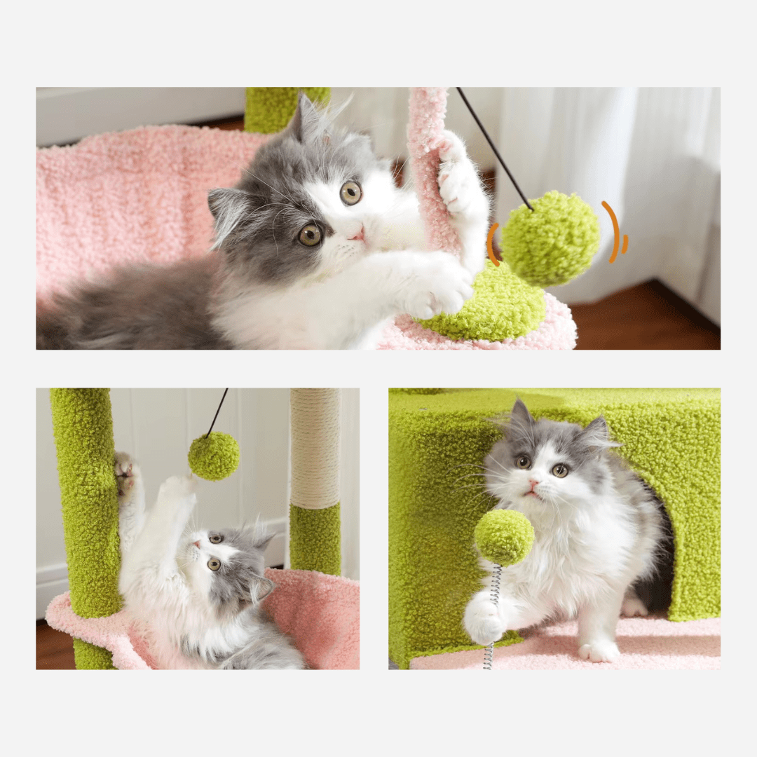 Arbre à chat Petit Cactus | Mon Chat Perché