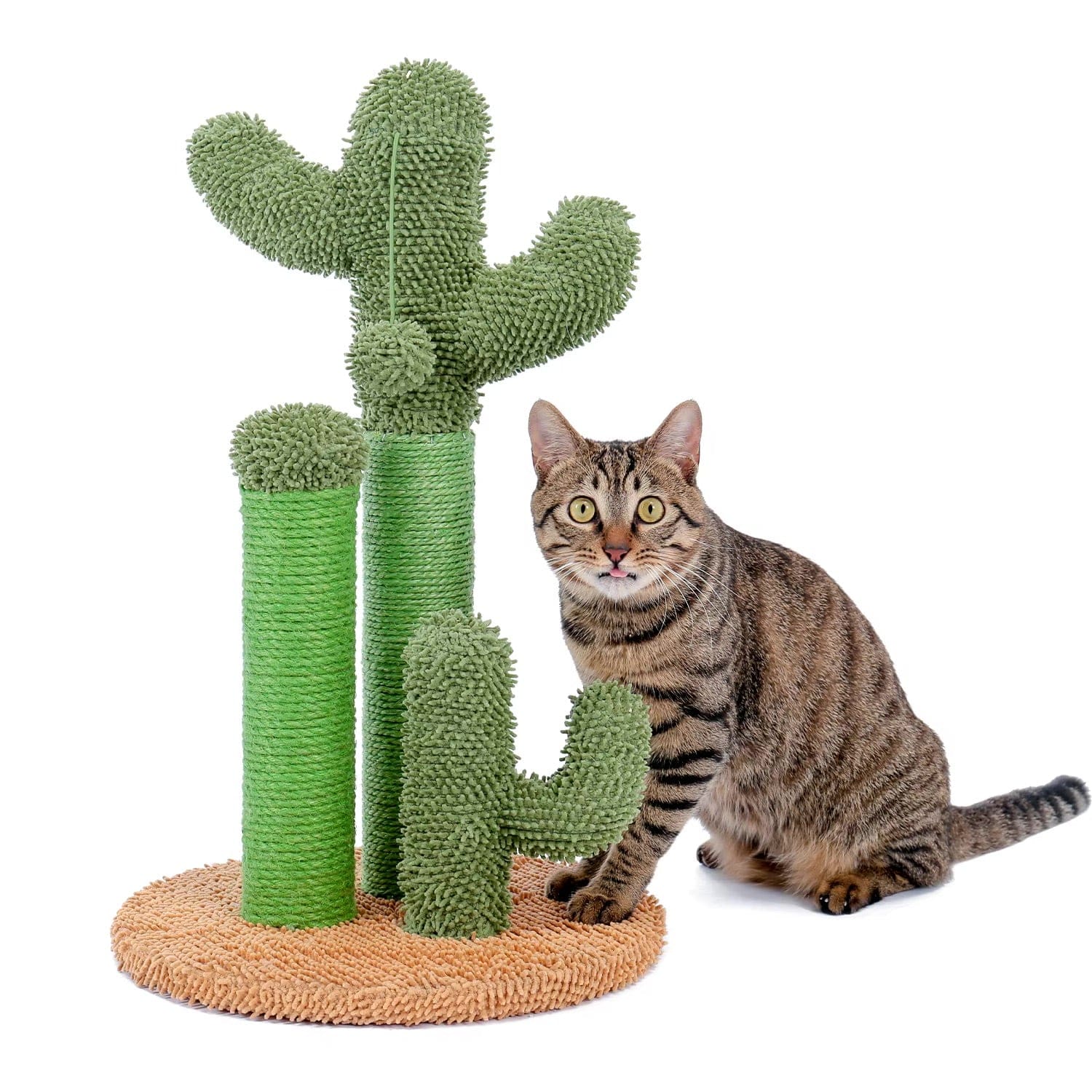 Griffoir Chat Cactus | Mon Chat Perché