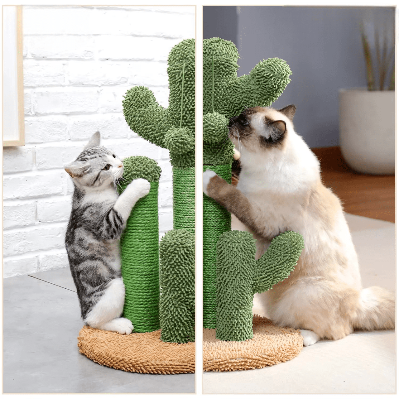 Griffoir Chat Cactus | Mon Chat Perché