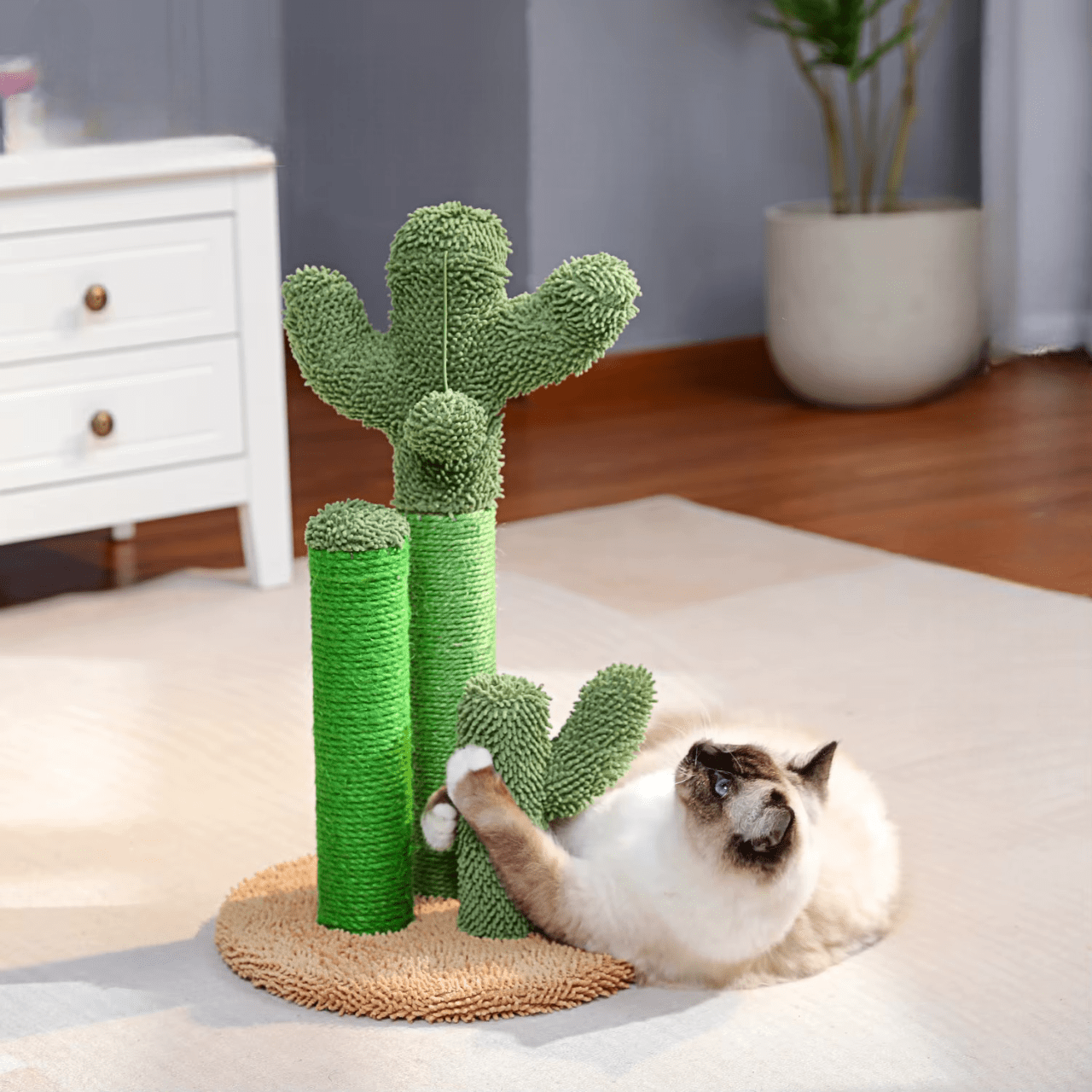 Griffoir Chat Cactus | Mon Chat Perché