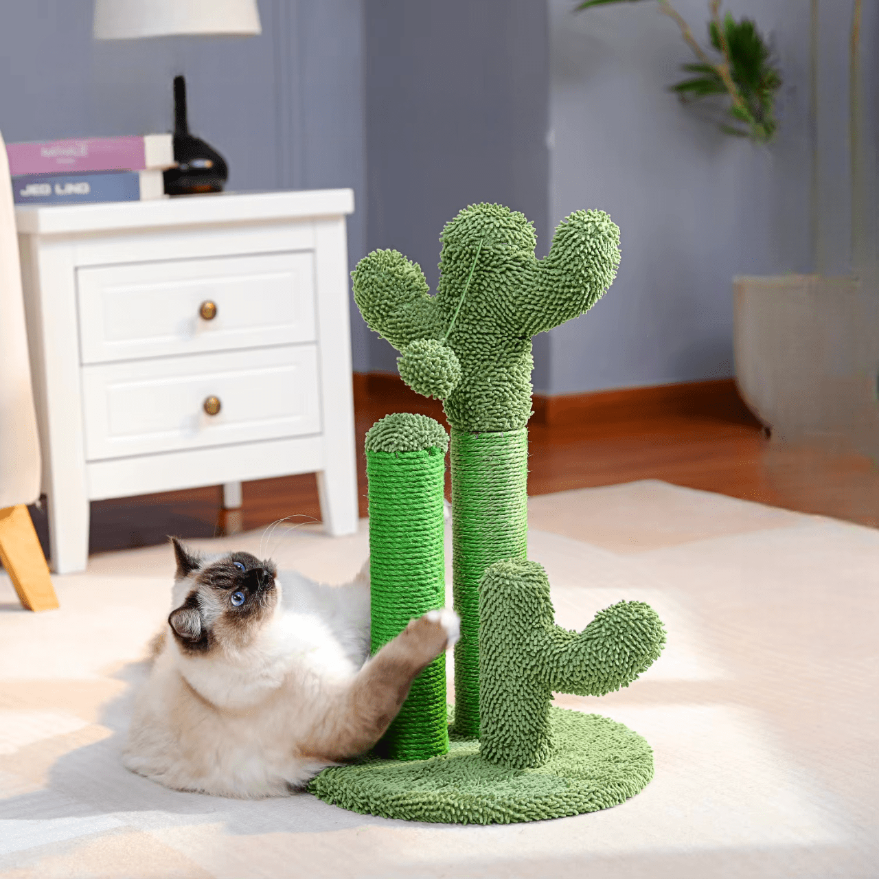 Griffoir Chat Cactus | Mon Chat Perché