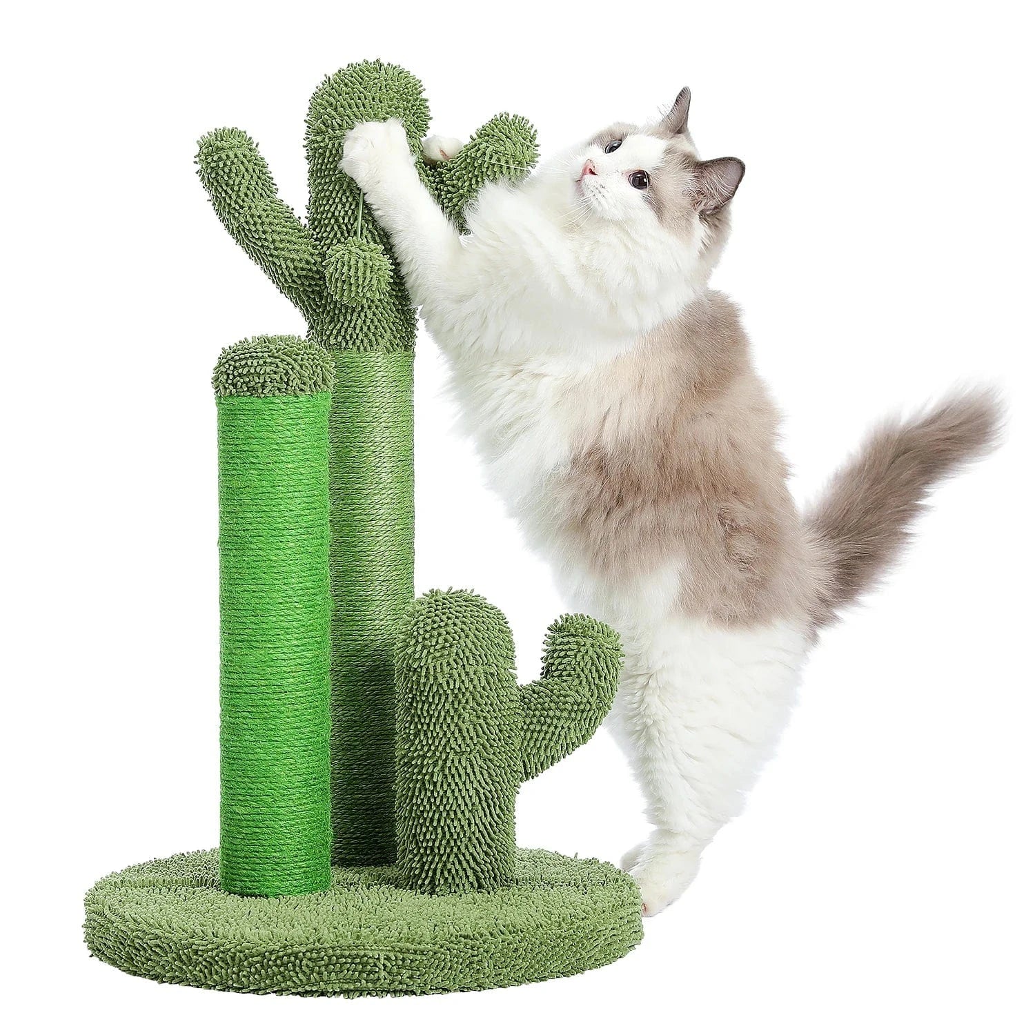 Griffoir Chat Cactus | Mon Chat Perché
