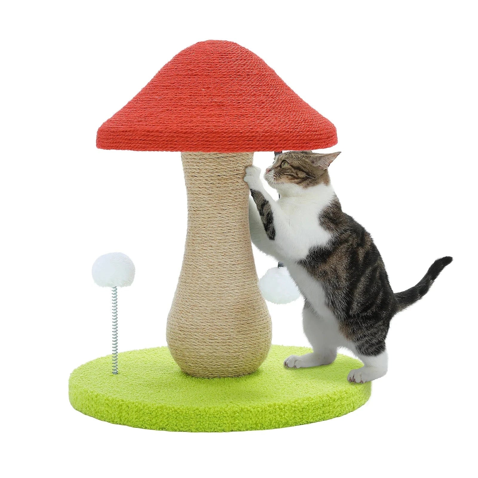 Griffoir Chat Champignon | Mon Chat Perché