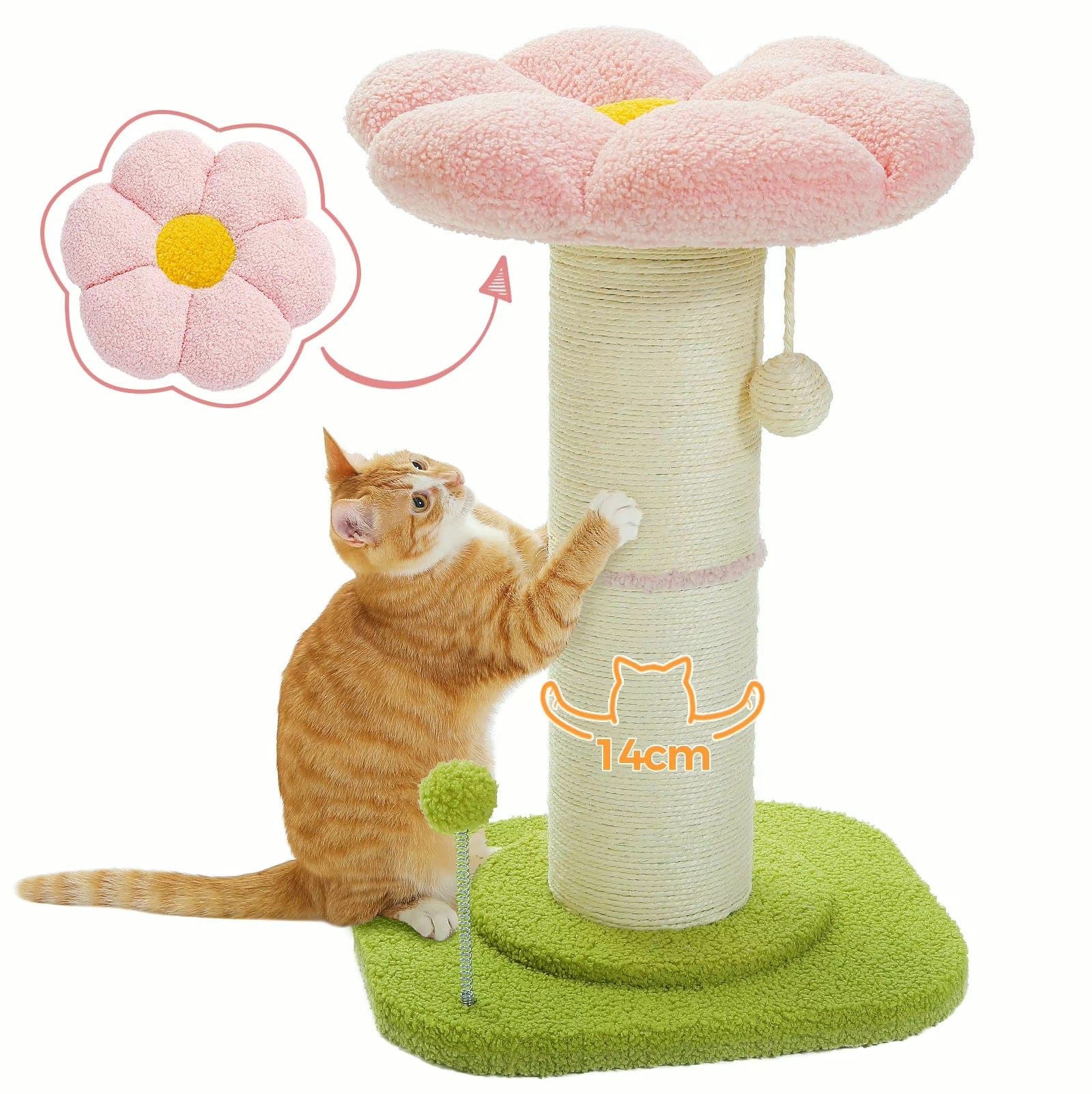 Griffoir Chat Fleur | Mon Chat Perché