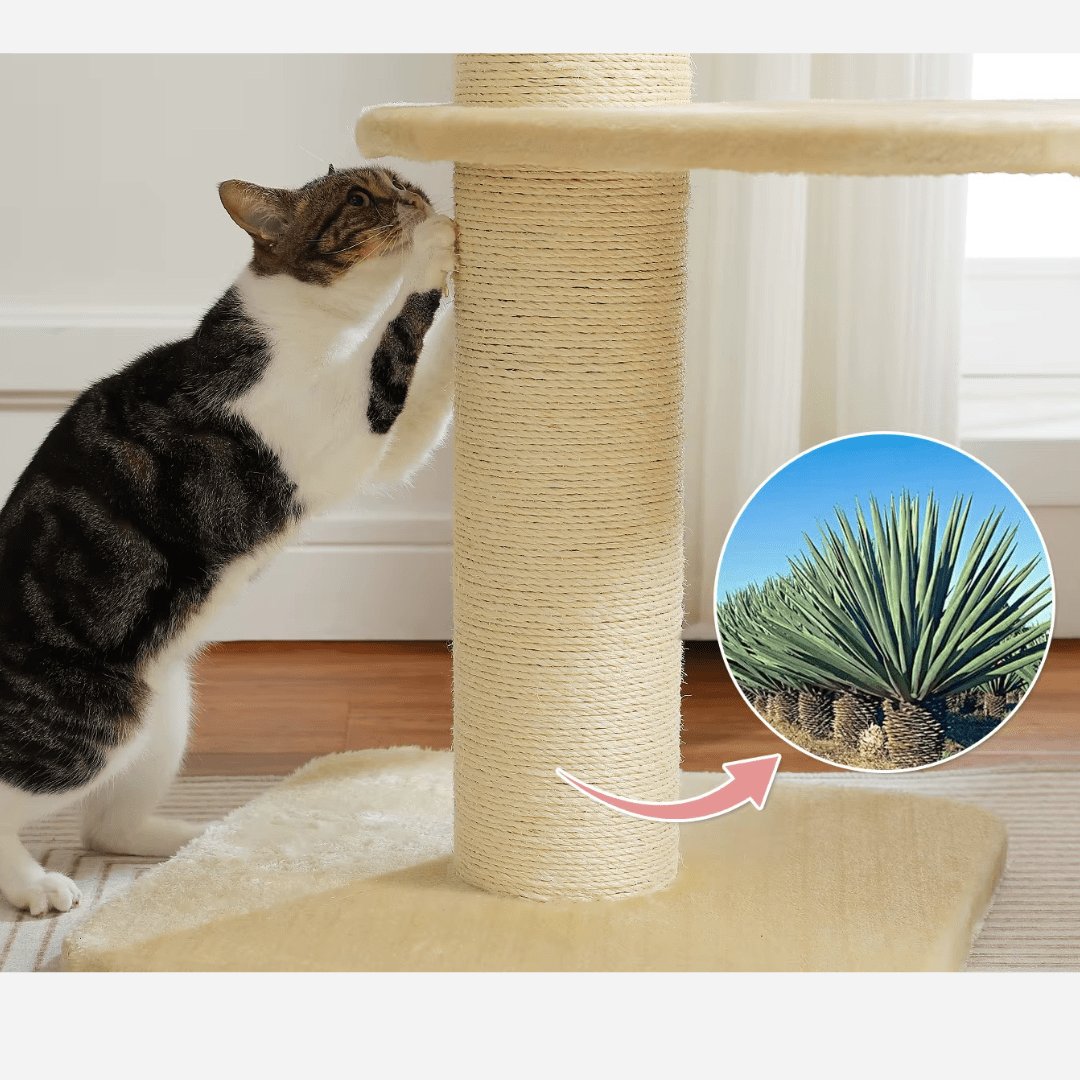 Petite tour à chat | Mon Chat Perché
