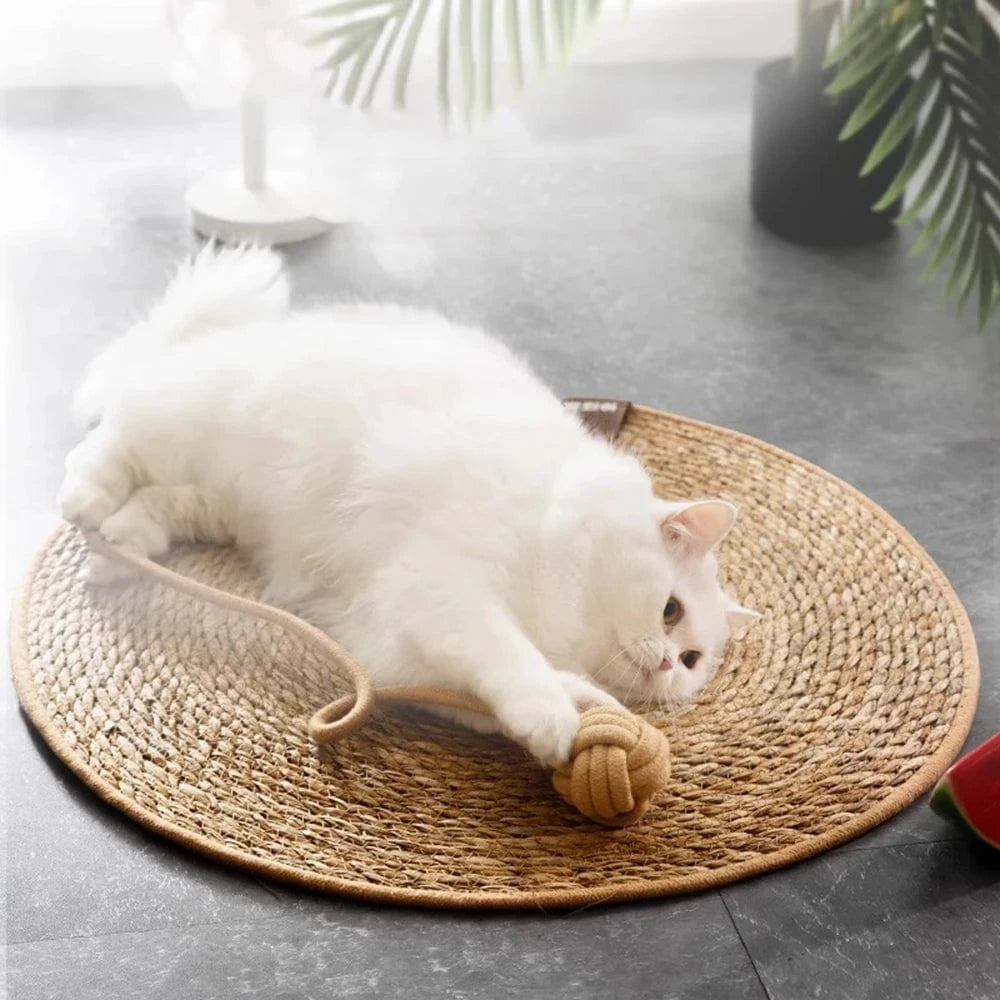 Tapis Griffoir Chat Rotin Naturel