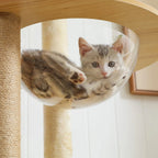 Arbre à chat Bois 180 cm | Mon Chat Perché