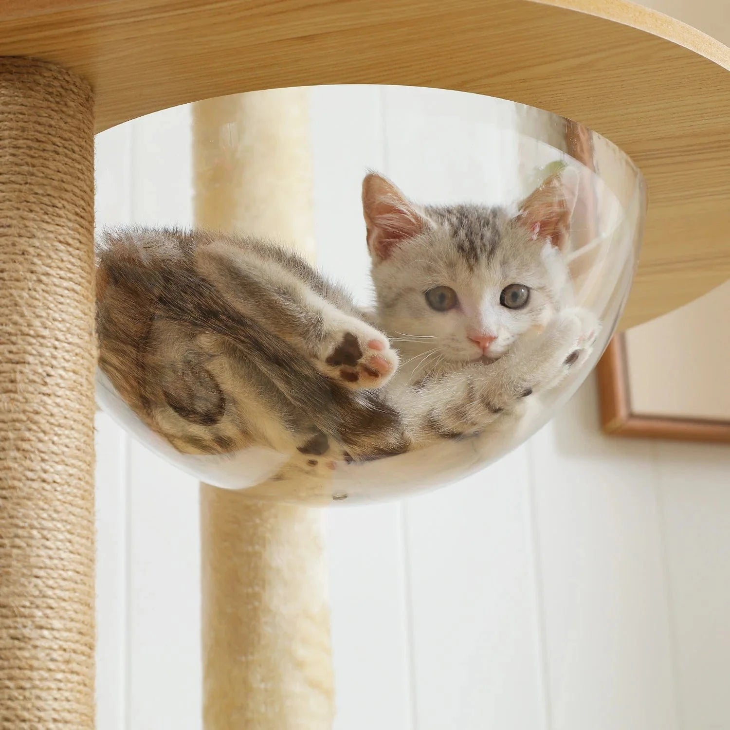 Arbre à chat Bois 180 cm | Mon Chat Perché