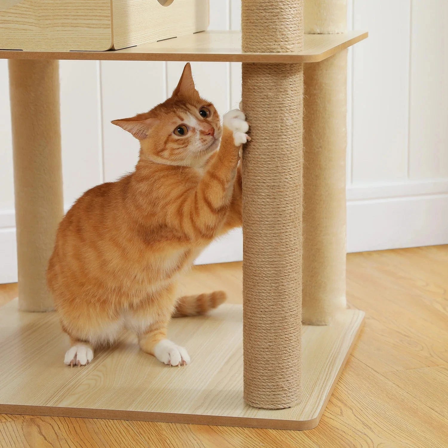 Arbre à chat Bois 180 cm | Mon Chat Perché