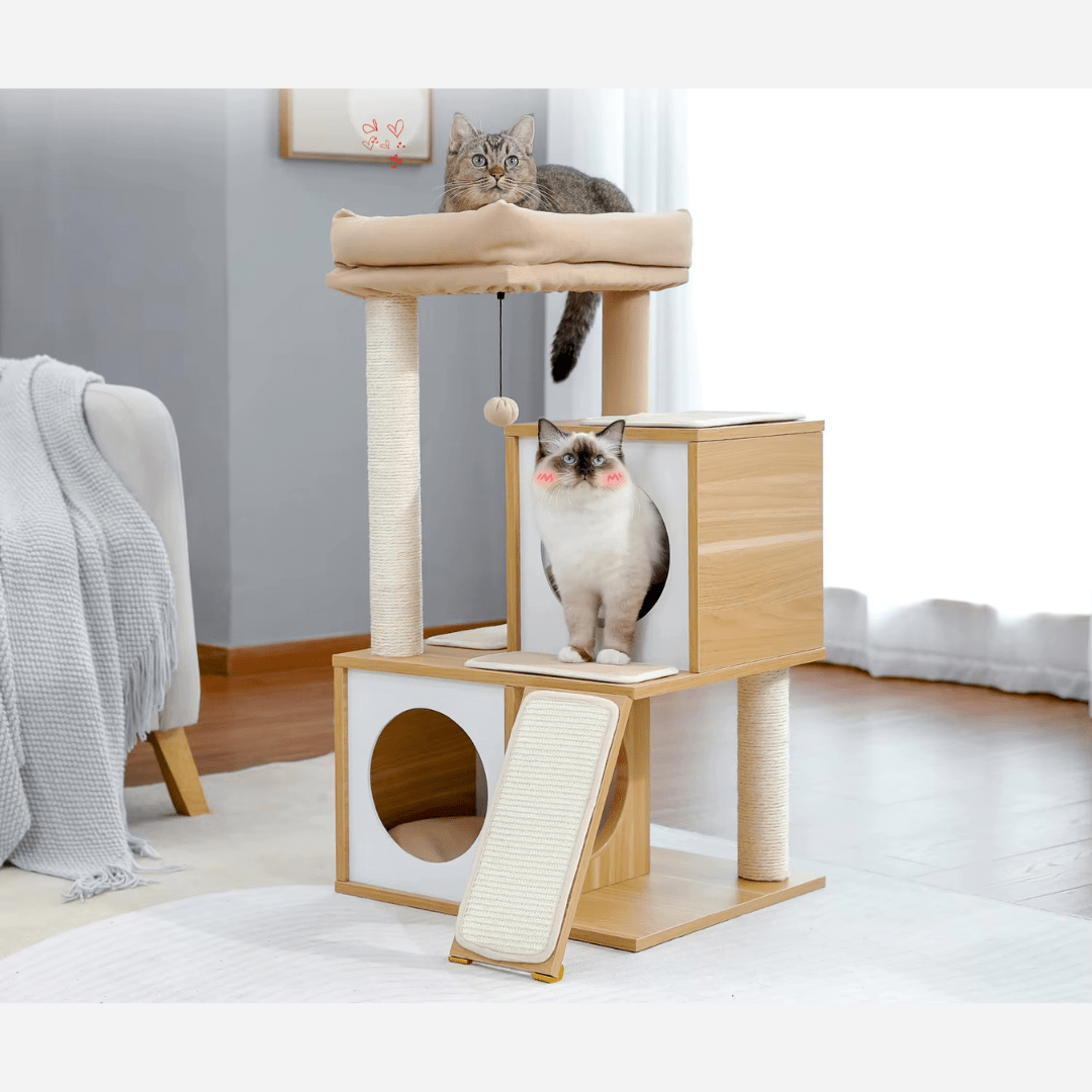 Arbre à chat Bois avec Perchoir | Mon Chat Perché