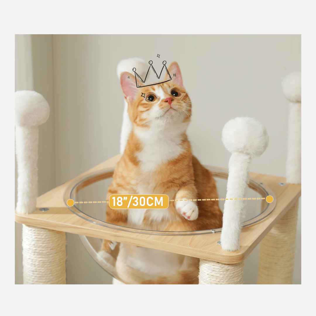 Arbre à chat Bois Capsule | Mon Chat Perché