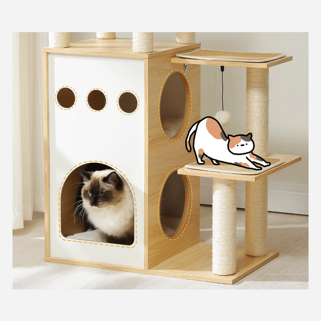 Arbre à chat Bois Capsule | Mon Chat Perché