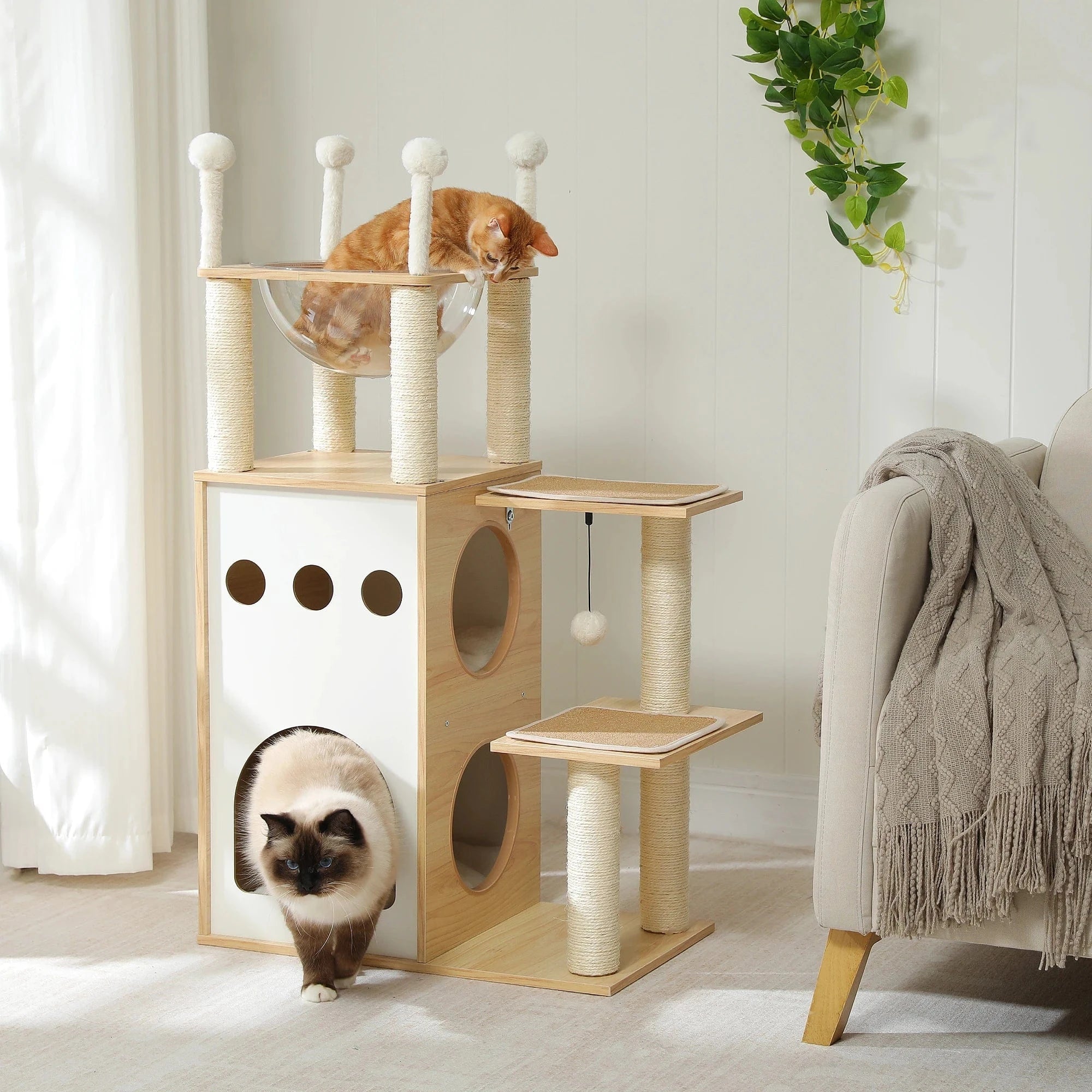 Arbre à chat Bois Capsule | Mon Chat Perché