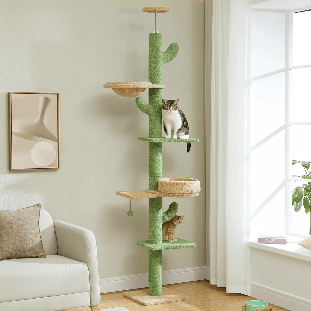 Arbre à chat Cactus Plafond | Mon Chat Perché