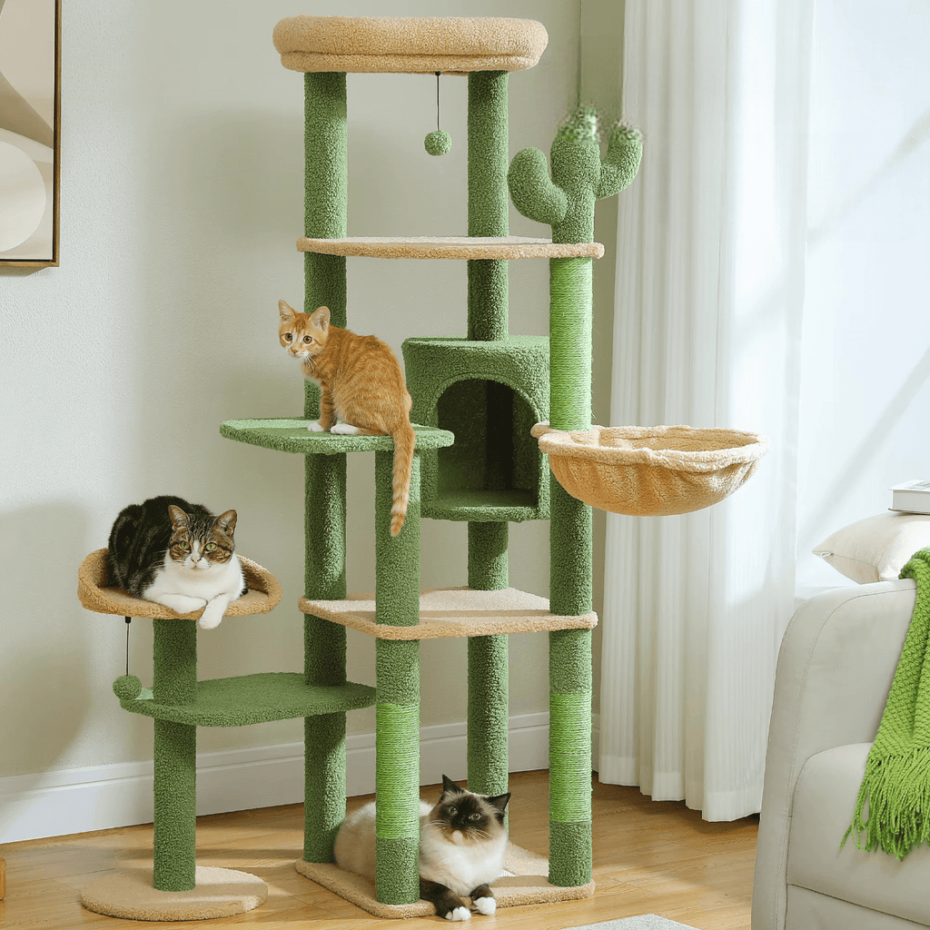 Arbre à chat Maine Coon Perchoir | Mon Chat Perché