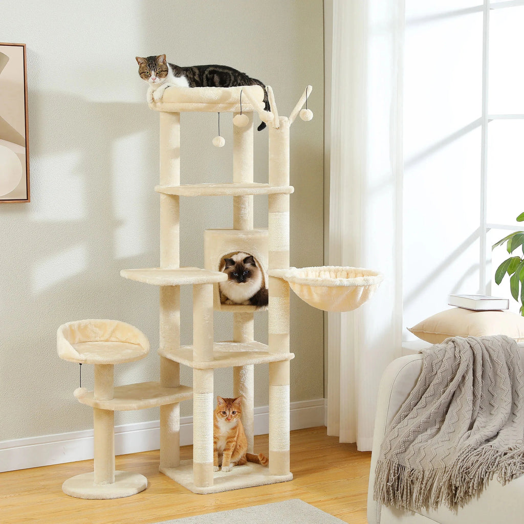 Arbre à chat Maine Coon Perchoir | Mon Chat Perché