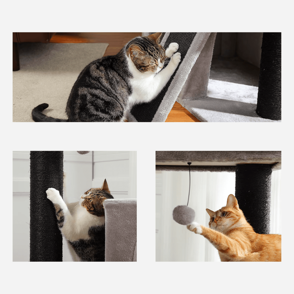 Arbre à Chat Maine Coon Solide | Mon Chat perché