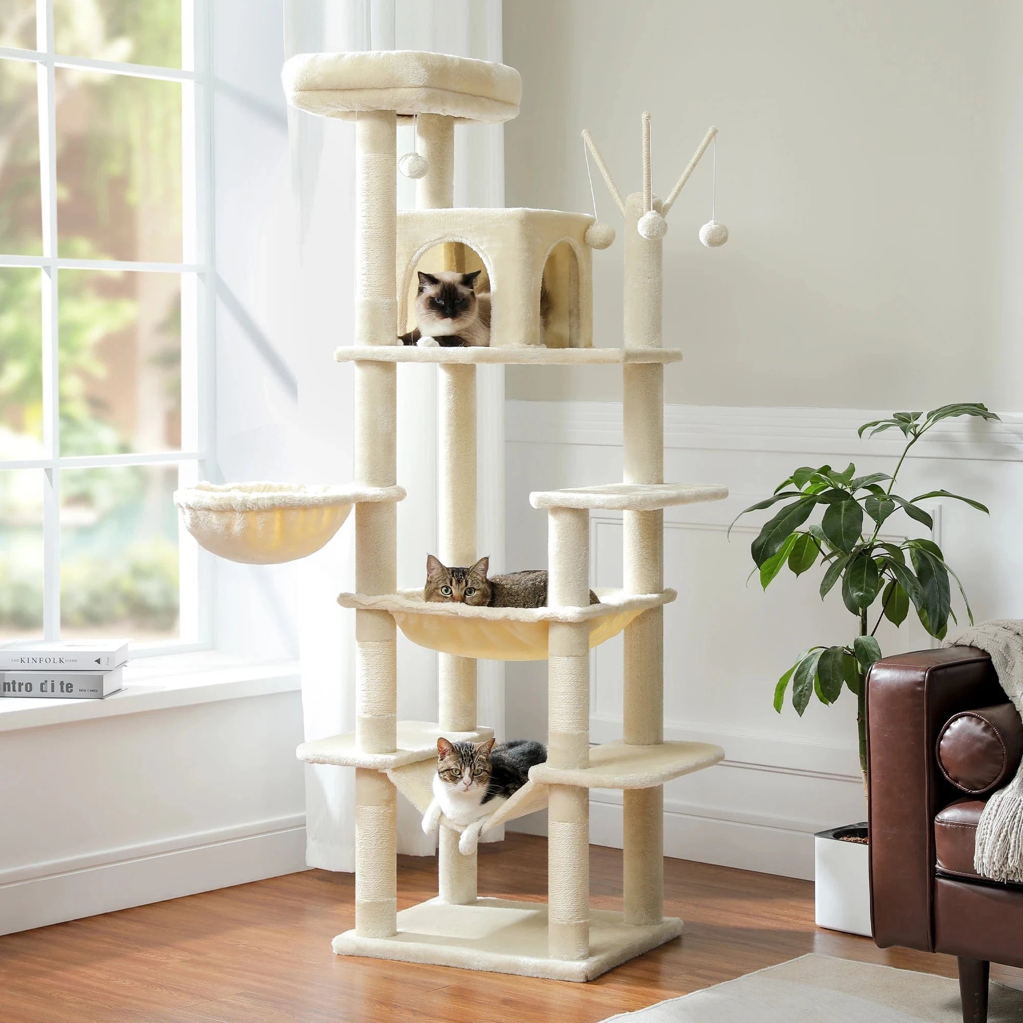Arbre à Chat Multi-Niveaux XXL | Mon Chat Perché
