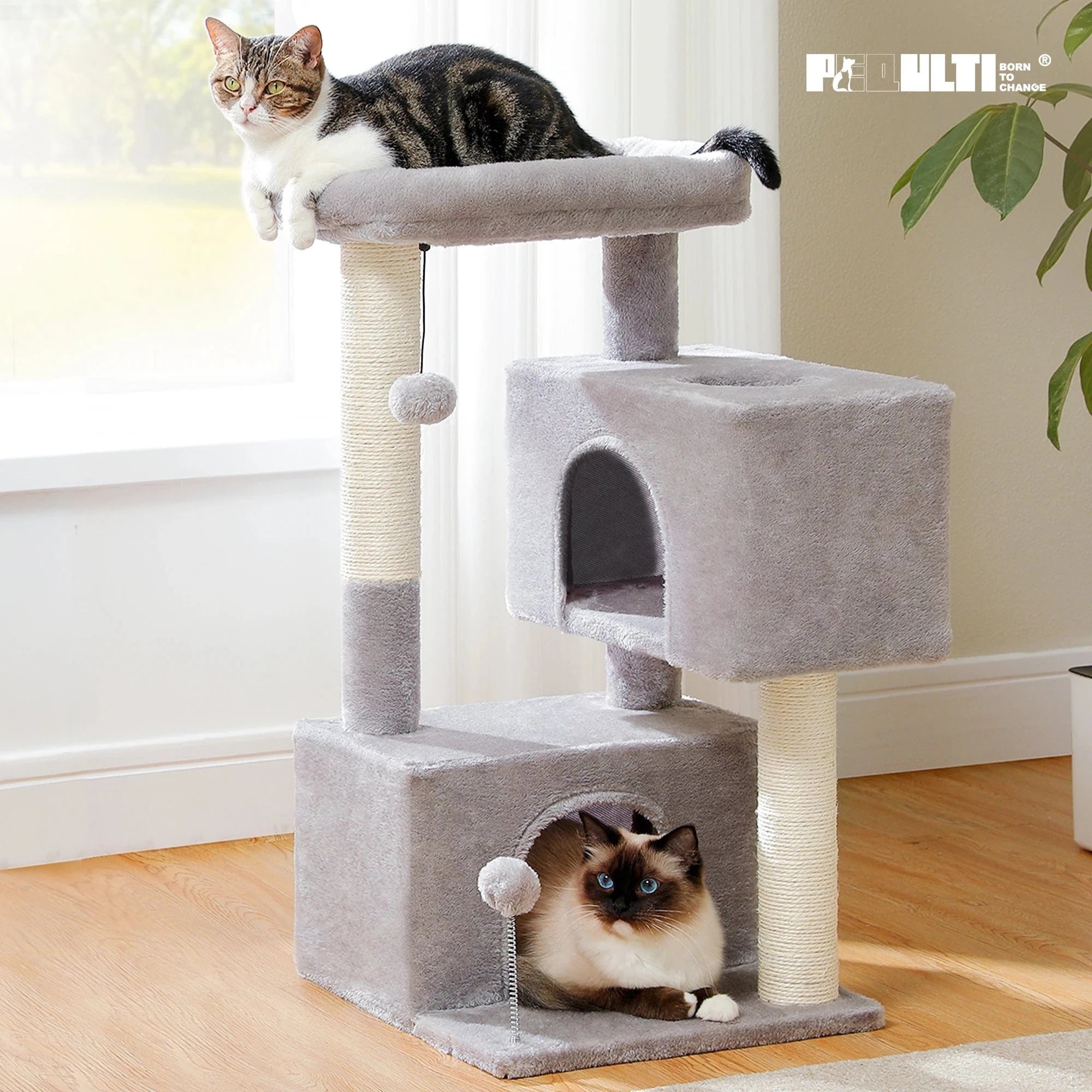 Arbre à chat Petit avec Perchoir | Mon Chat Perché