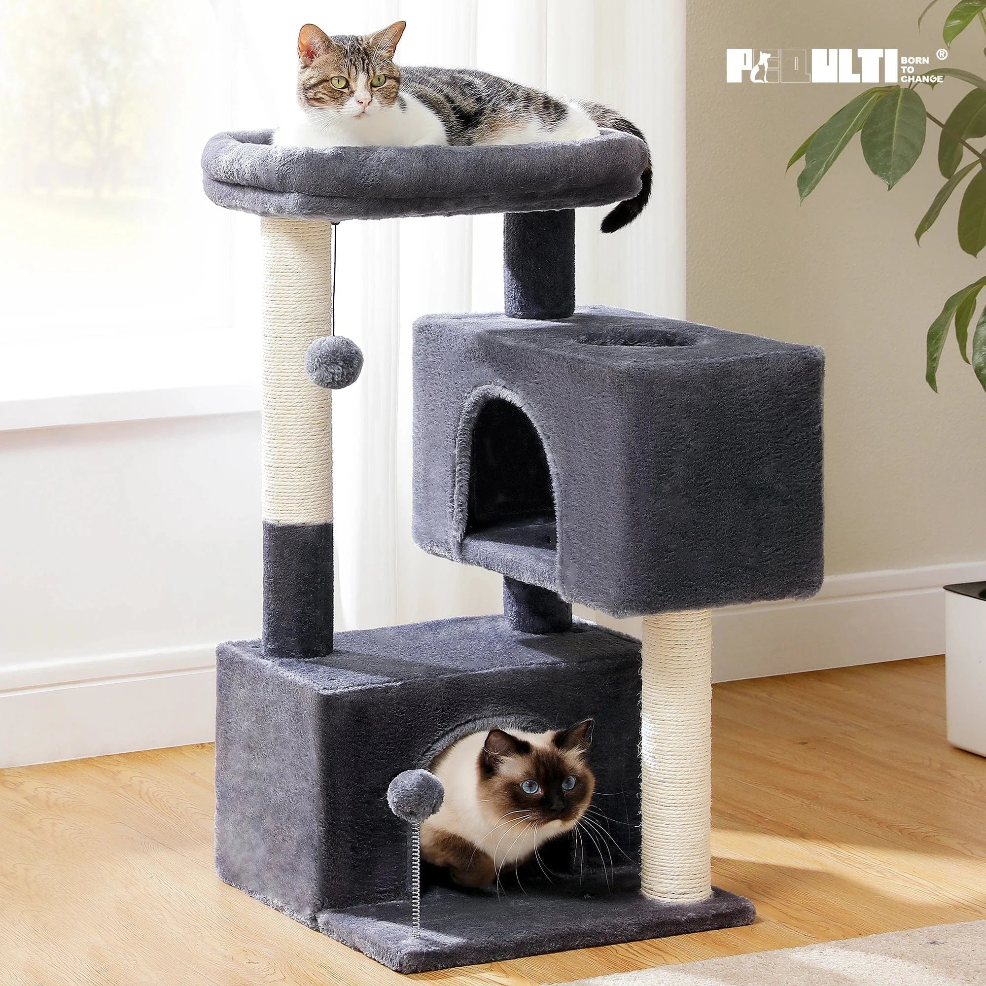 Arbre à chat Petit avec Perchoir | Mon Chat Perché