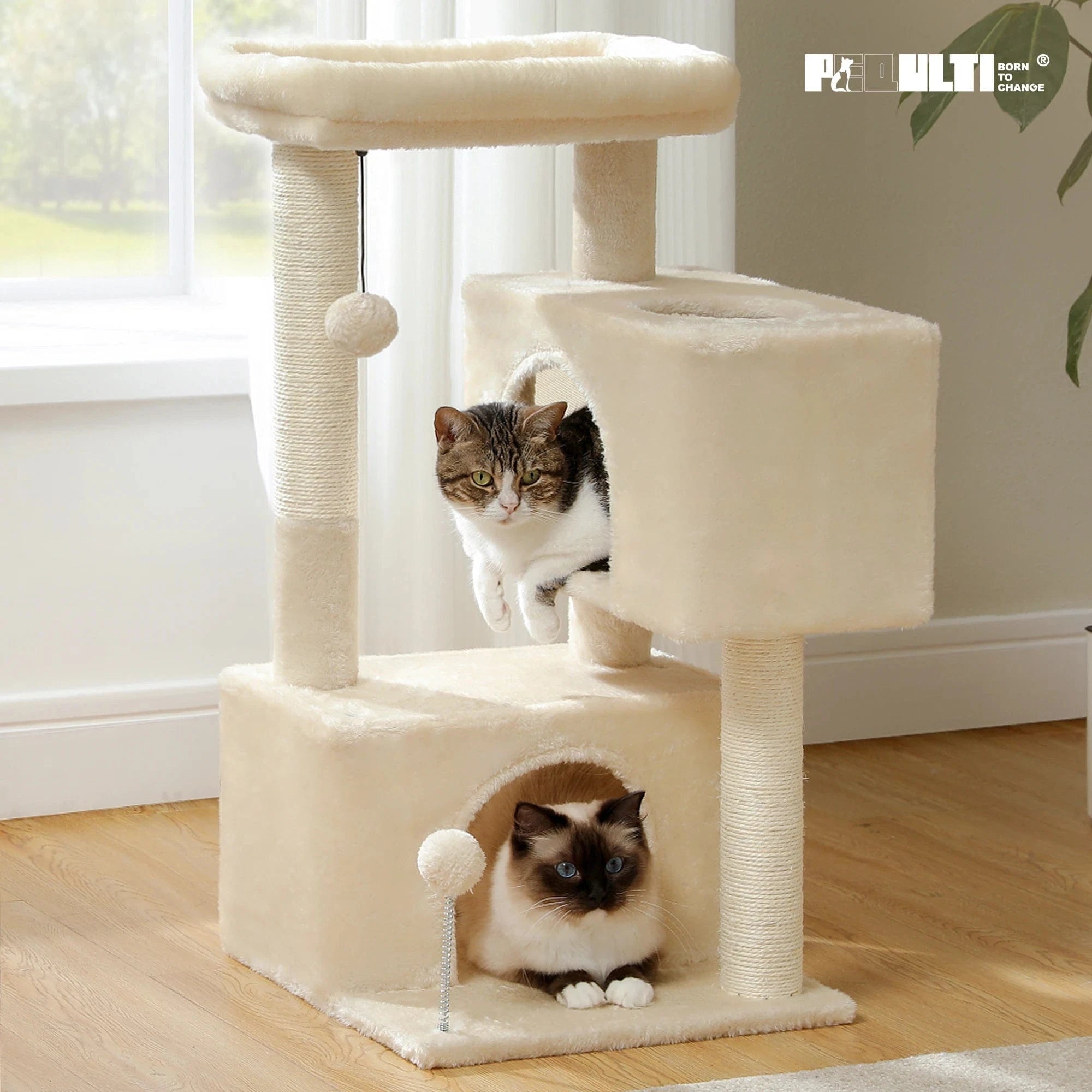 Arbre à chat Petit avec Perchoir | Mon Chat Perché