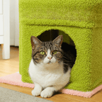 Arbre à Chat Petit Cabane | Mon Chat Perché