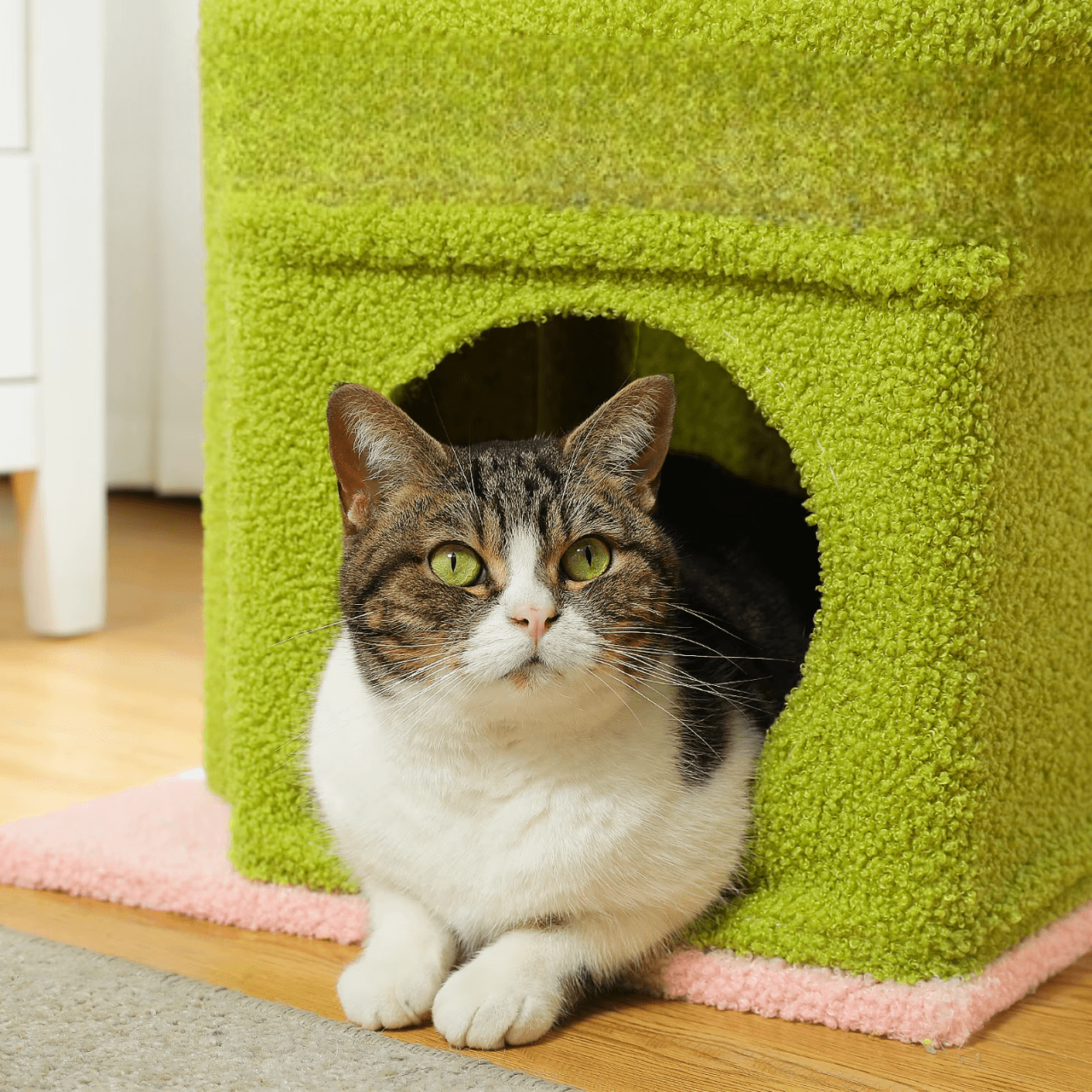 Arbre à Chat Petit Cabane | Mon Chat Perché