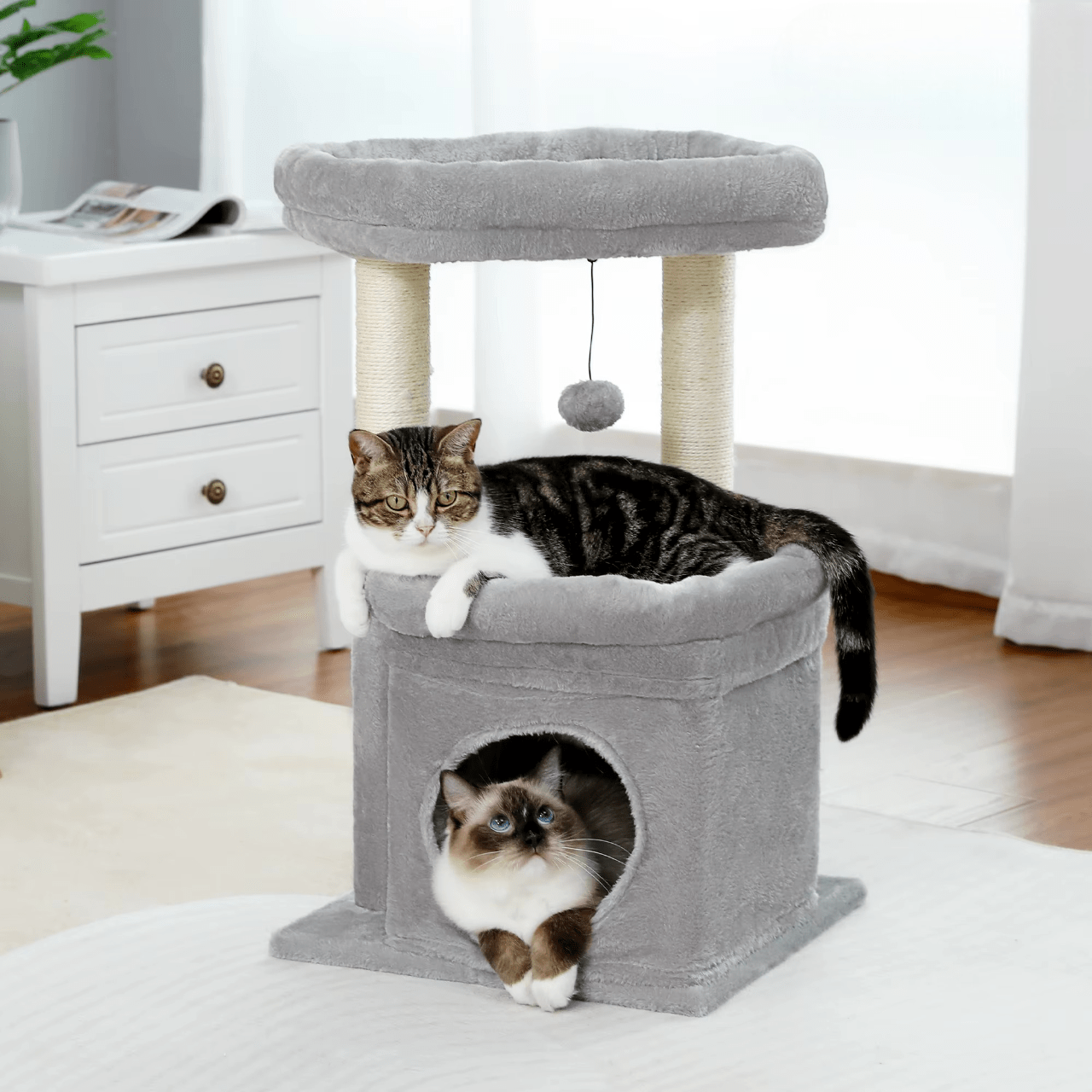 Arbre à Chat Petit Cabane | Mon Chat Perché