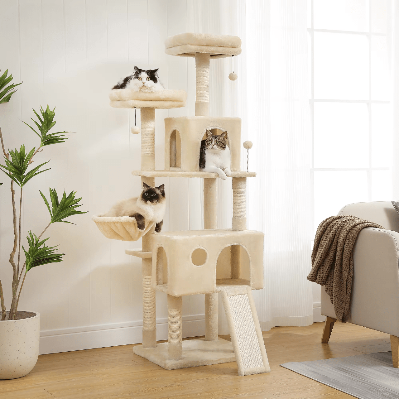 Arbre à chat XXL Confort | Mon Chat Perché
