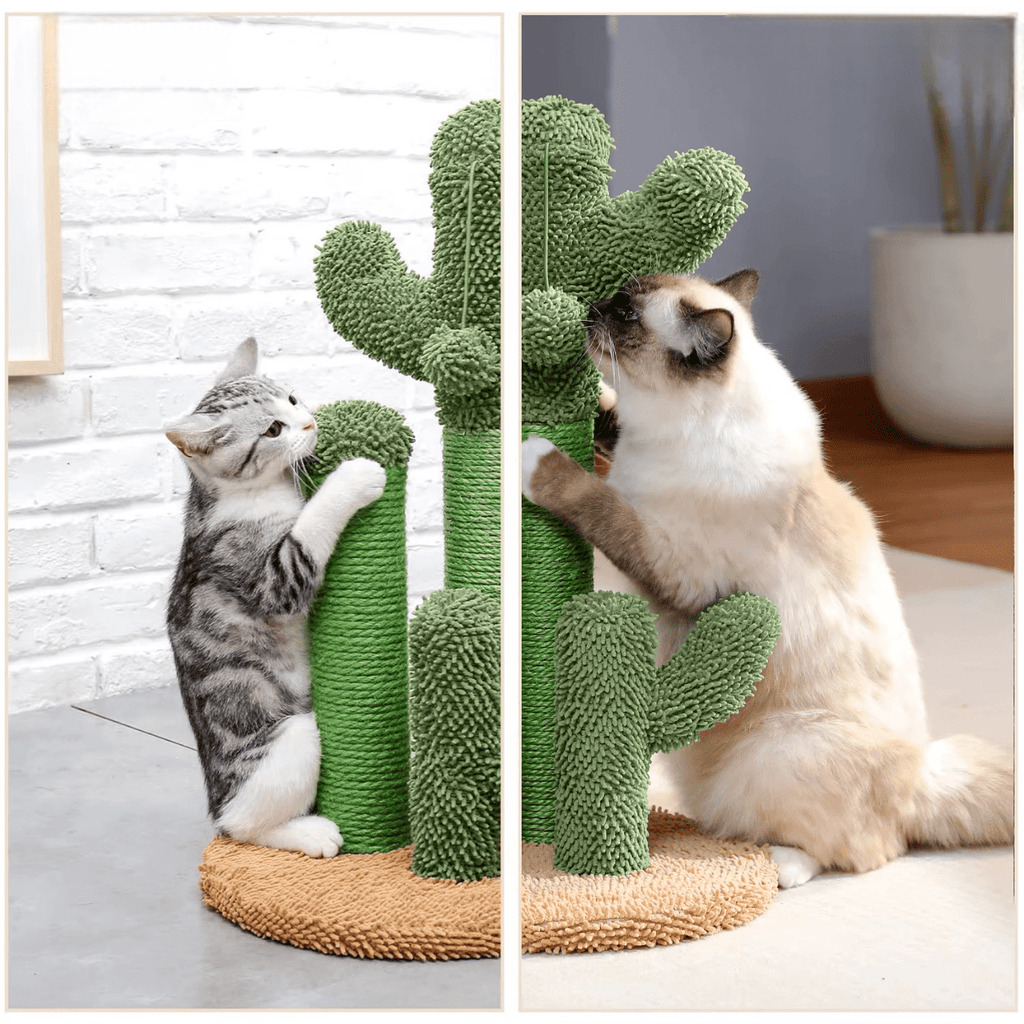 Griffoir Chat Cactus | Mon Chat Perché