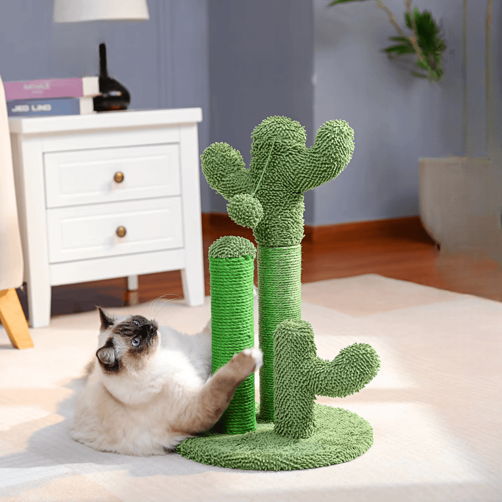 Griffoir Chat Cactus | Mon Chat Perché